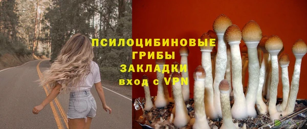 альфа пвп Богородицк