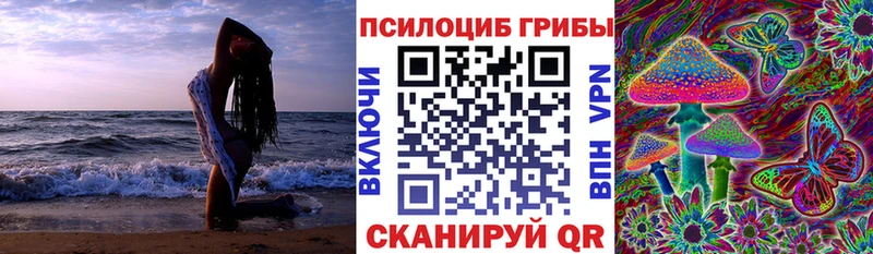 kraken как войти  Ессентукская  Галлюциногенные грибы прущие грибы 